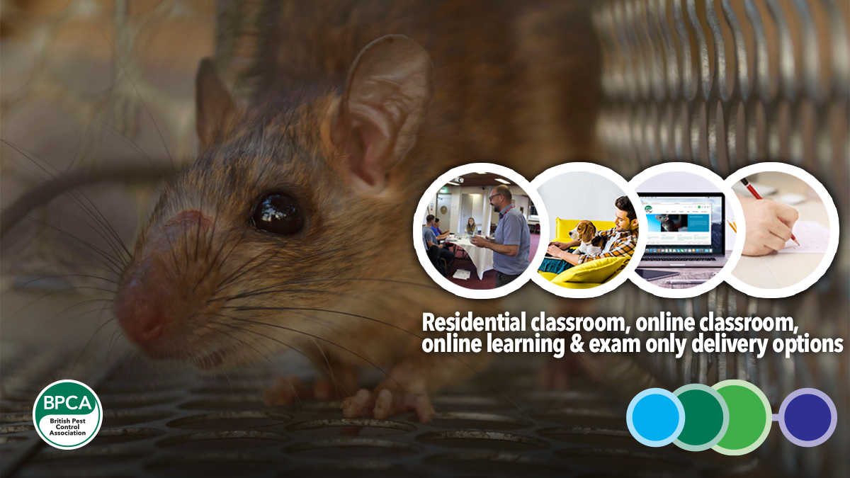 Level 2 Award in Pest Management RSPH BPCA courses and exams to study online or in a classroom Level 2 Award in Pest Management RSPH BPCA courses and exams to study online or in a classroom